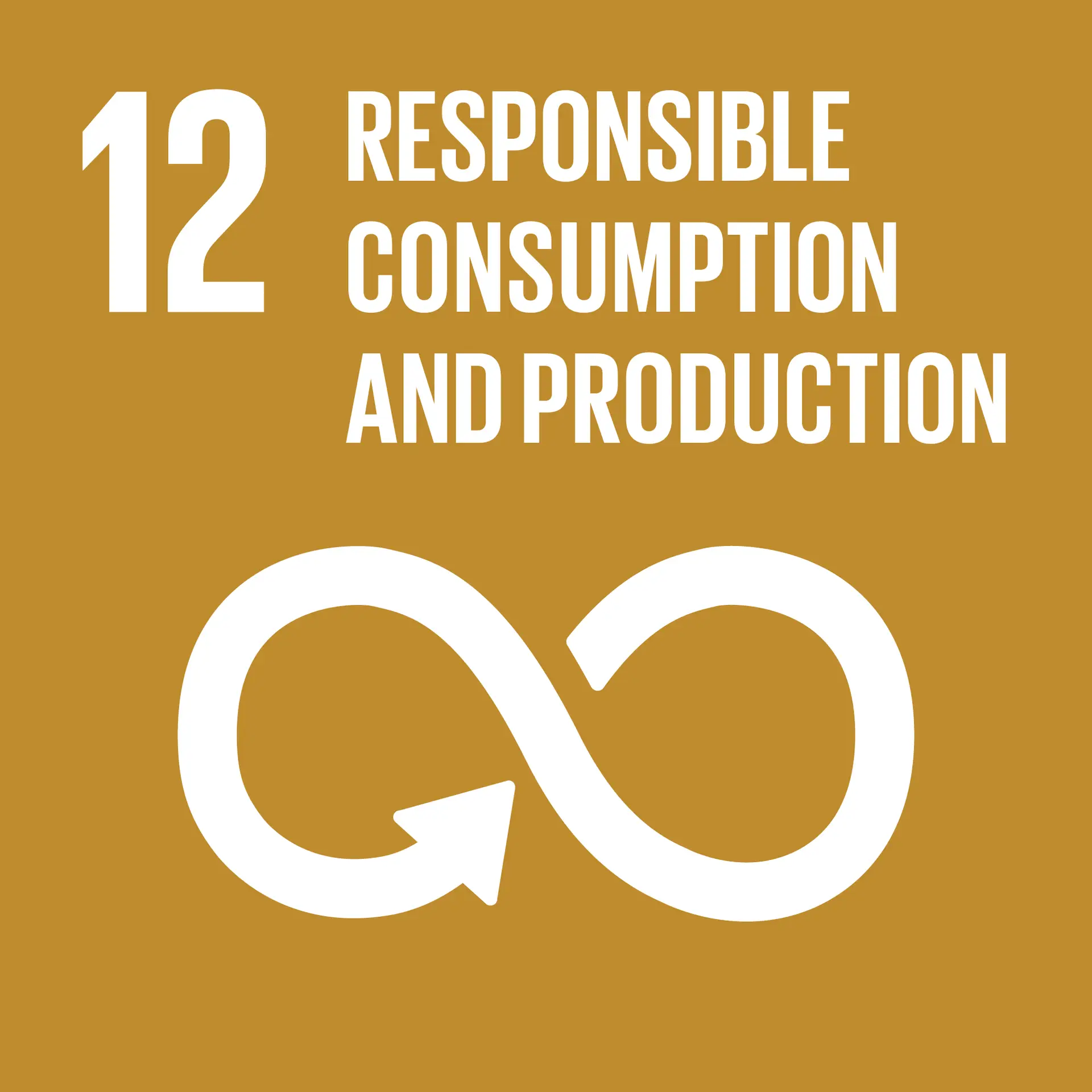 SDG_TheGlobalGoals_Icons_Color_Goal_12